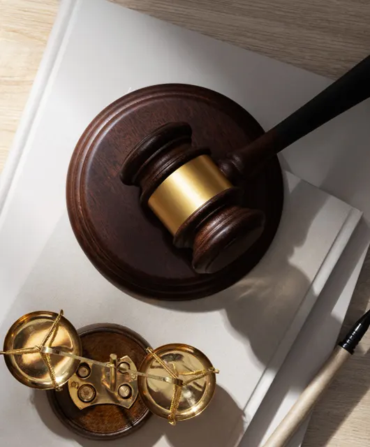 FINDING “CONSERVATION” IN FOREST (CONSERVATION) AMENDMENT BILL, 2023: AN ANALYSIS OF PROPOSED AMENDMENTS TO THE PRINCIPAL ACT AND THEIR ECOLOGICAL IMPACT